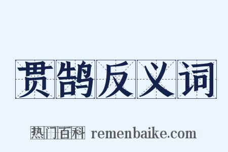 贯鹄反义词是什么意思的图片